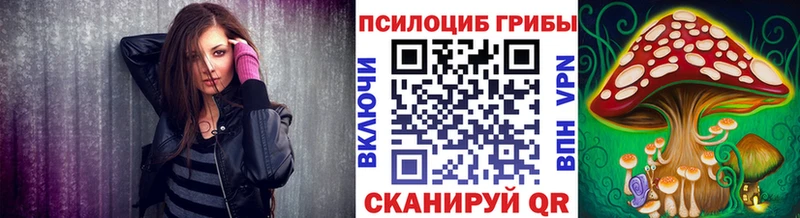 Псилоцибиновые грибы Cubensis  Щёлково 